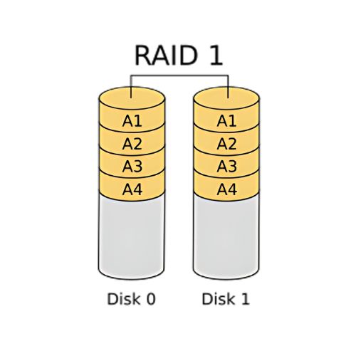 RAID 1