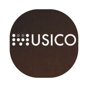 20 New Suno AI Alternatives In 2025 (Free & Paid) 12 Musico